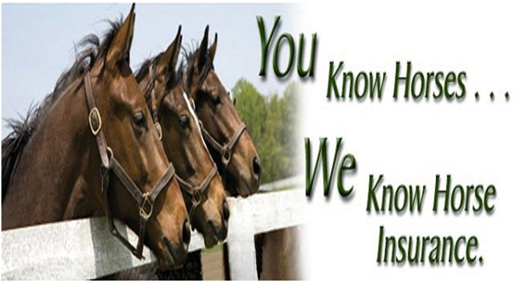 What insurance do I need to teach horse riding?
