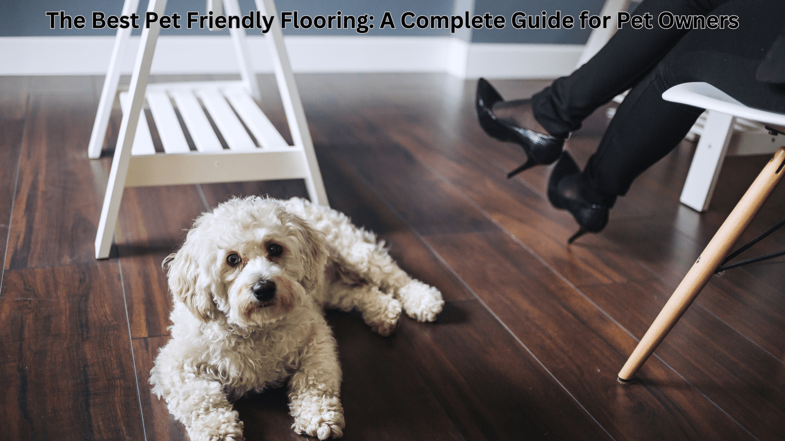 The Best Pet Friendly Flooring: A Complete Guide for Pet Owners