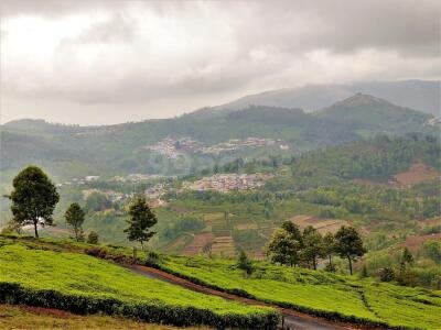 The Future of Real Estate: Gated Community Plots in Coonoor