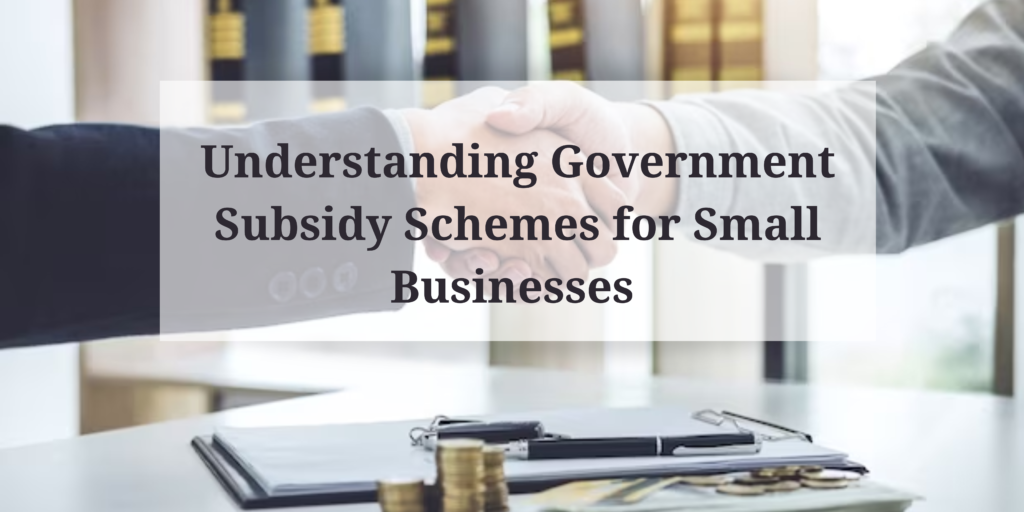 Understanding Government Subsidy Schemes for Small Businesses Good