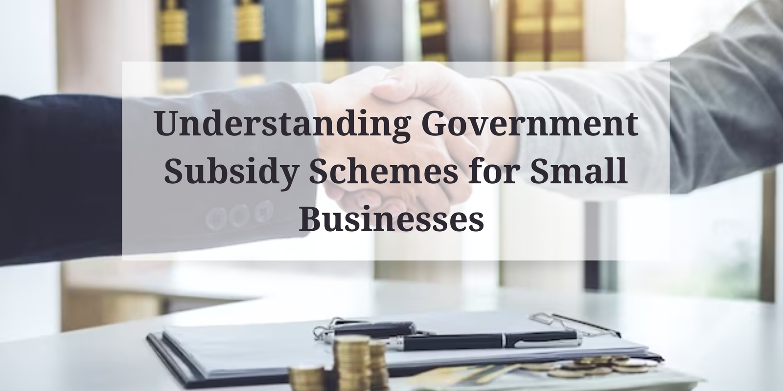 Understanding Government Subsidy Schemes for Small Businesses